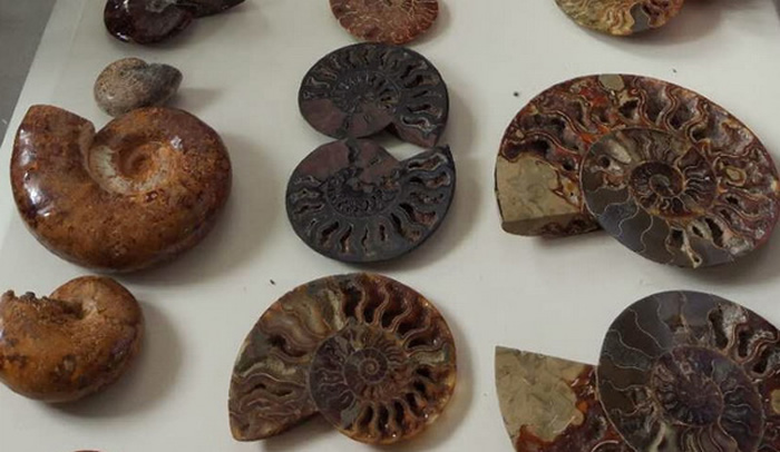 ���ں����ƽ���������161�������ﻯʯ