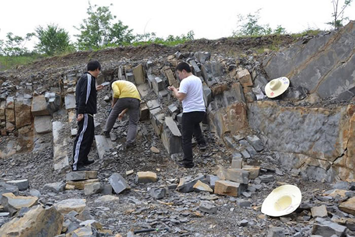 ������Ұ�ⷢ���ֳ�