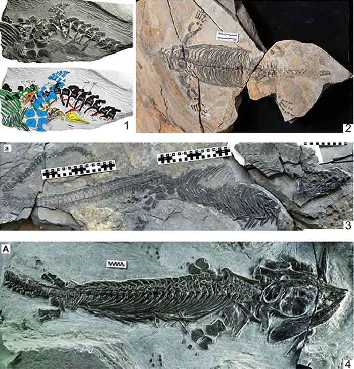 ��������ɽ���ֵĻ�ʯ