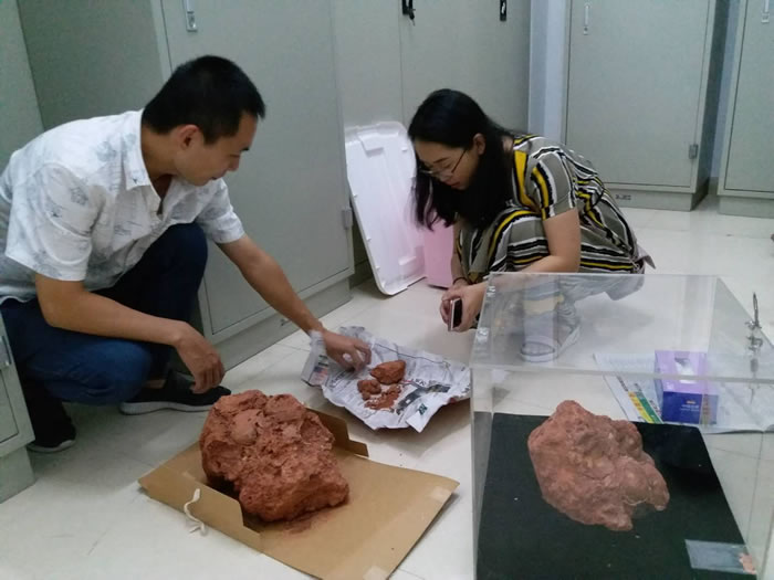 ���ڱ����״η��ֿ�������ʯ�Ĺ���