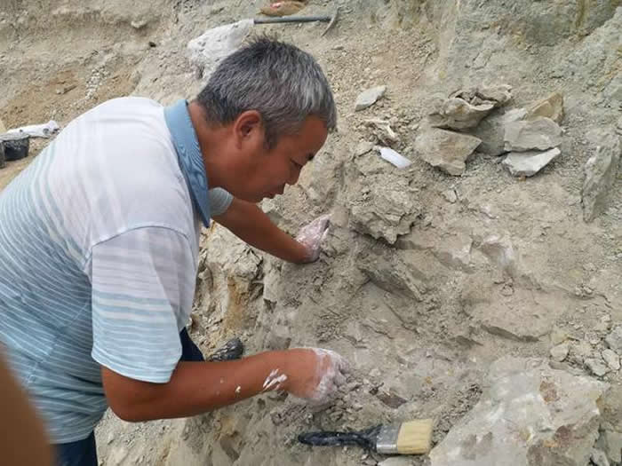 �ų��Ϻ���Գ��ַ2����ʯ�㷢��Ϭţ�����㡢���Լ��������໯ʯ1000���