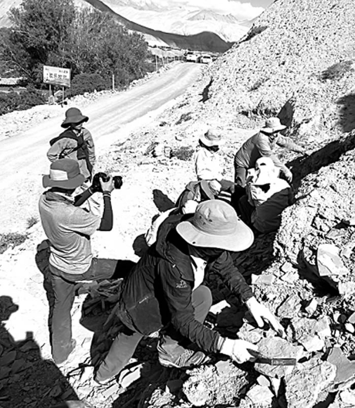 ������ѧ�������׶���ԭ���л�ʯ����