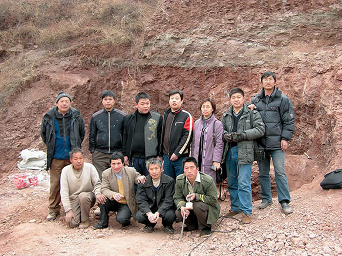 ����ʡ���ʲ���ݱ걾�ɼ�����