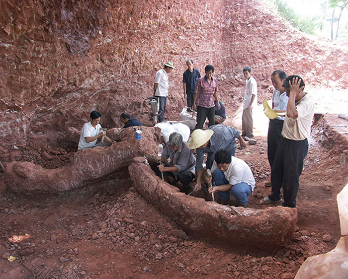 ������ʯ�����ֳ�