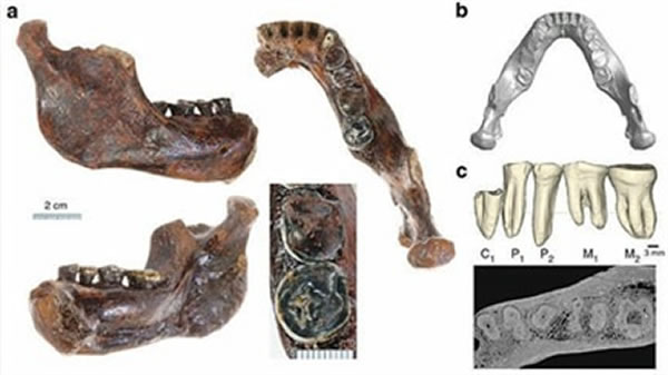 ��̨���ؾ�ʯ��ʱ����Զ�Ž���