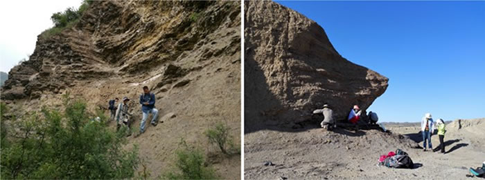 ͭ������ͼ���Ϳ�����������ͼ��Ұ����ʹ���