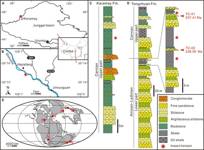 ͭ���Ϳ�����������Ⱥ���ʼ��