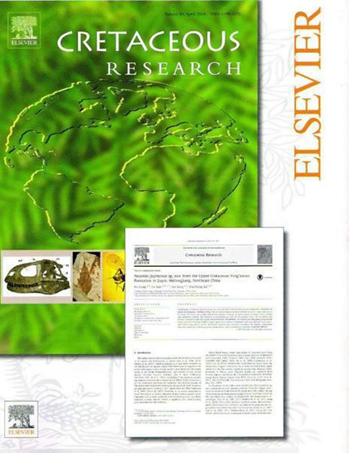 �����������״η����ҹ�����ġ�������ʯ��������������