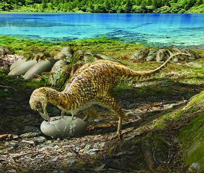 �������צ����ԭͼ �Դ� ��