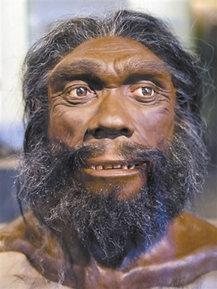我国首次发现海德堡人类型化石
