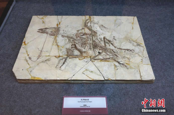 ��չ��չ���Ŀ�����ʯ������������������֪������๵����࣬��һ��������1.2�ڶ���ǰ���������ࡣ