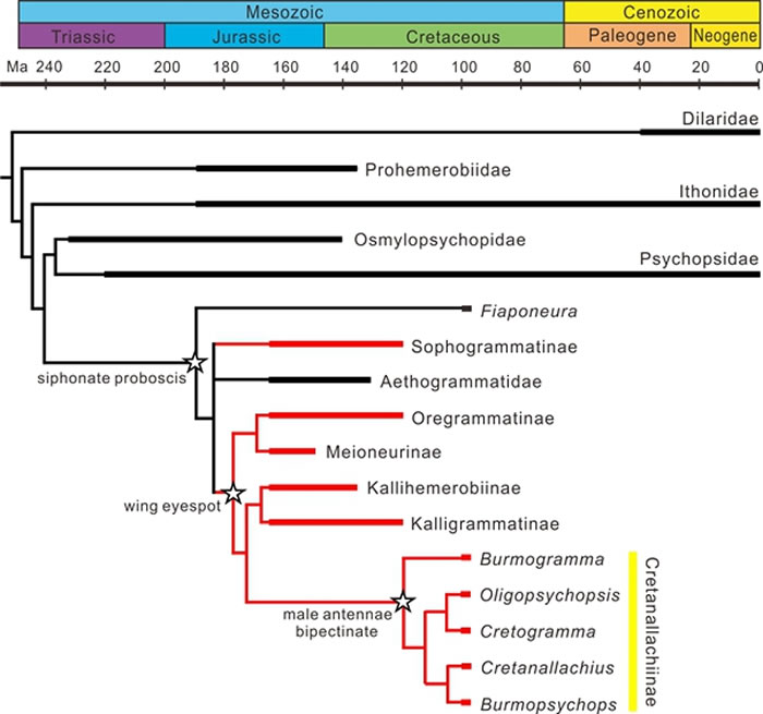 ���ȵ��ݻ���ʷ
