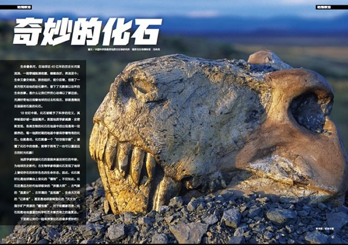 ������Ļ�ʯ��