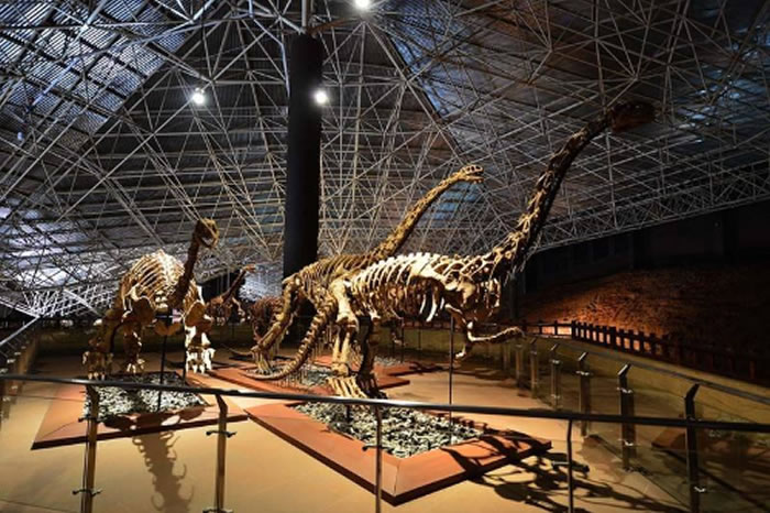 ���繫�ϡ������س�����»��������岻�ϡ�������