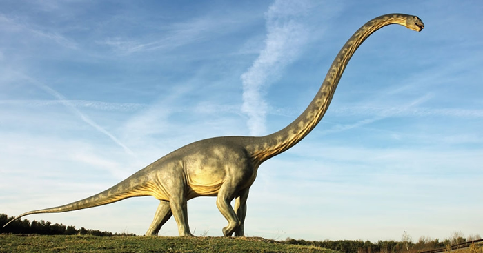 �о����������Ҫ������ѧ������ϵ��С�¼�