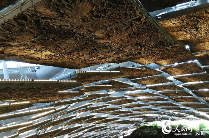 �ܿڵ�Գ�˶����¶Թ��ڿ���