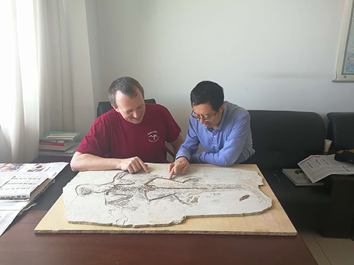 ���ɹ���Ȼ����ݹݳ������У���ʯ�����Ļ��������