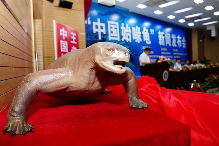 �й�ʼ๹껯ʯ�����Ǻ�������ﲩ�����Ϊ�����֮�����ղ�