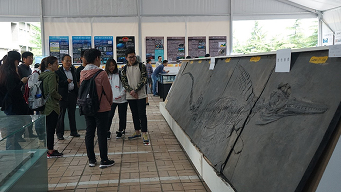 �ڶ��챱����ѧ��ʯ�Ļ�������չ��ֳ�