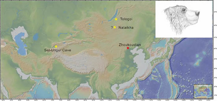 ���޶������ܻ�ʯ��¼�㣨������꽹�ͼ��