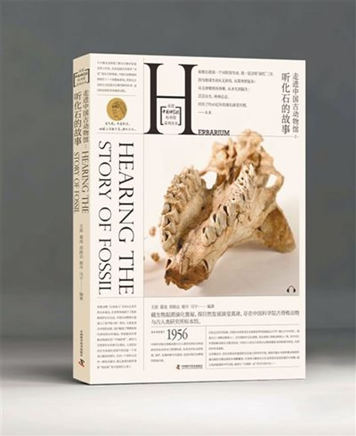 ������ʯ�Ĺ��¡���ǡ�����ʯ�Ĺ���Ҳ����