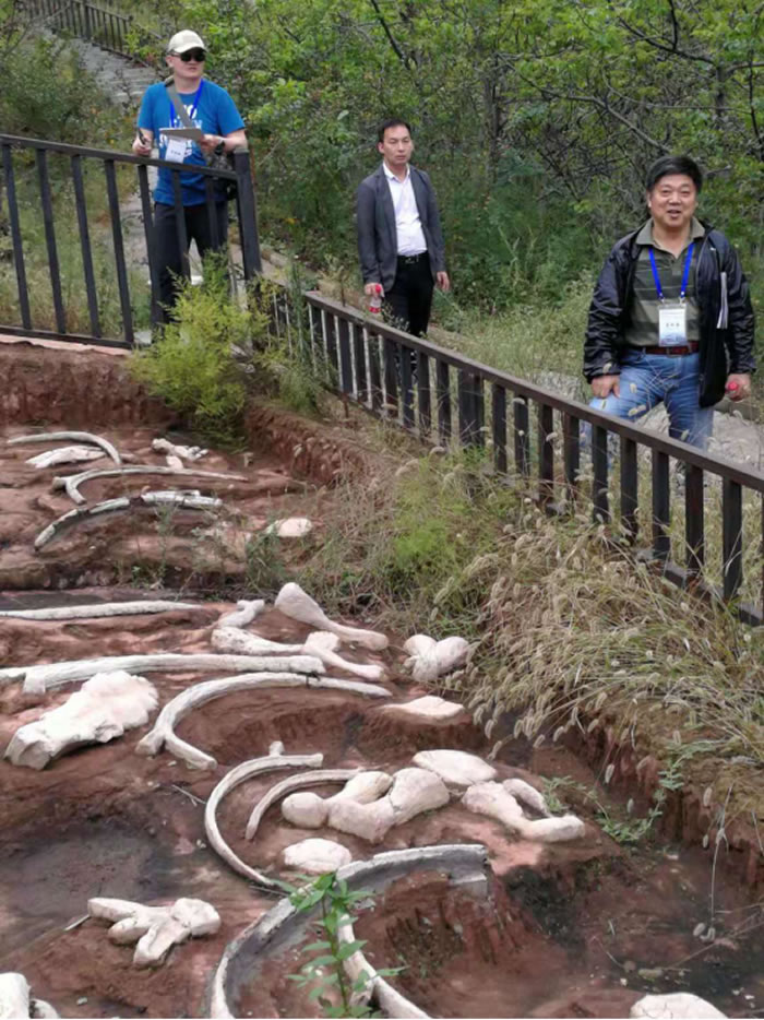 ������ڸ��Ź�����ѧ��ȥ�����������ֳ�