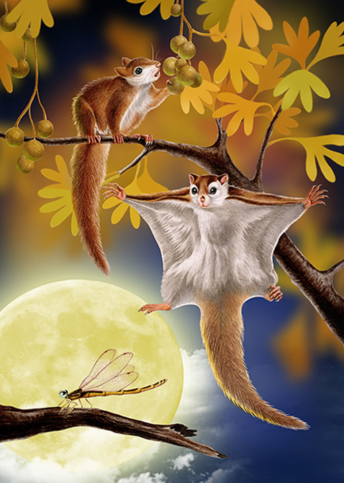 ʷ������Ƶİ�������������̬��ԭͼ��