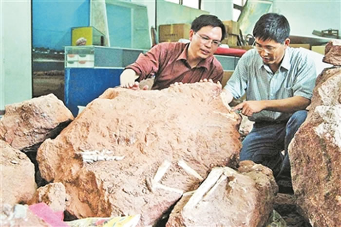 20074£ʿңںԴвչָձμʯ