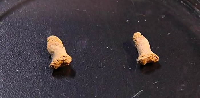 ������Ѩ�з���11.5����ǰ������Ϯ���Ե����ᰲ�����˺��ӵ��ź�