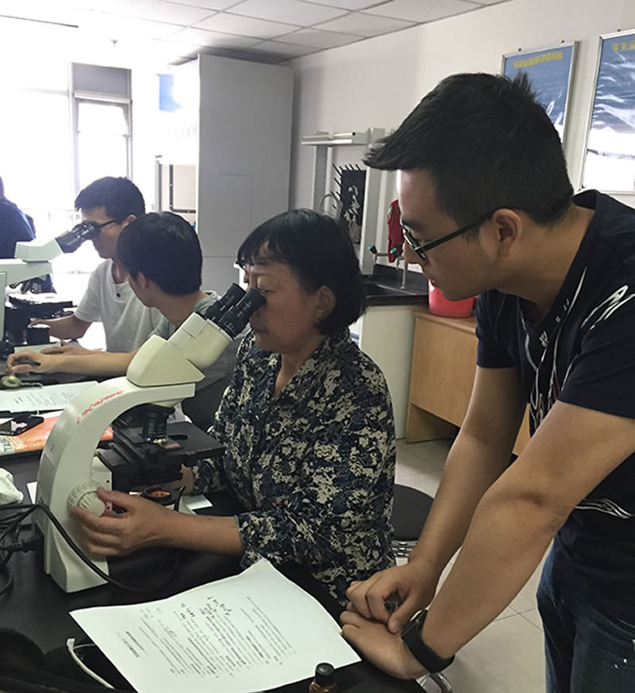 ���£��Ҷ�����΢�������ʵ�����ָ��ѧ���۲컯ʯ