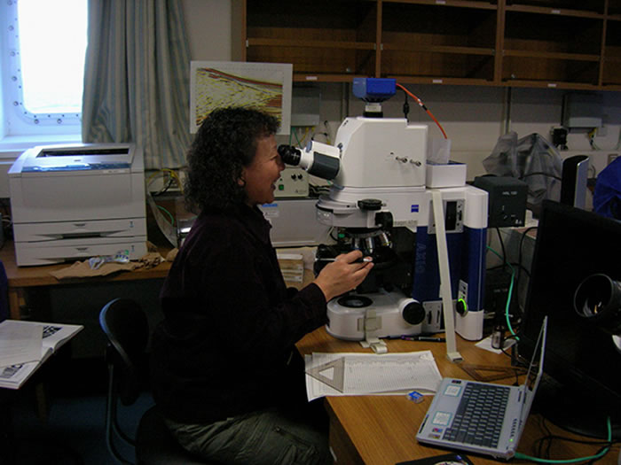 �����ڡ�����š���̽��΢��ʵ���ҹ۲컯ʯ