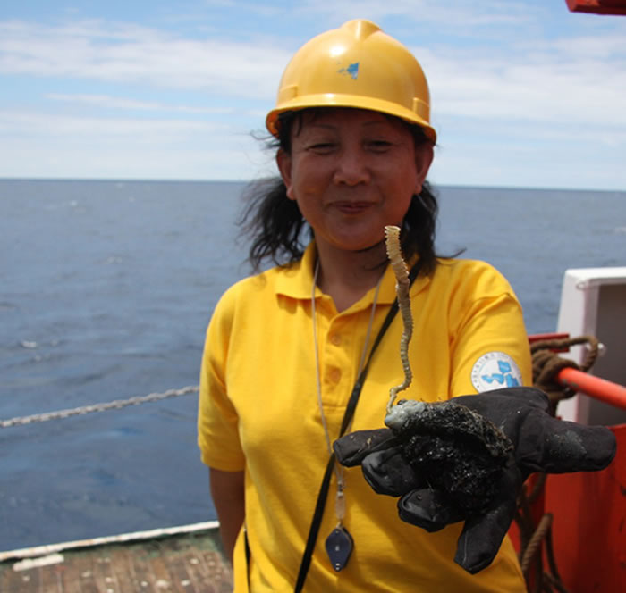 �������ҹ�����һ�Ŵ��ϣ������ڶ�̫ƽ��¡��õ���Һ����״���걾