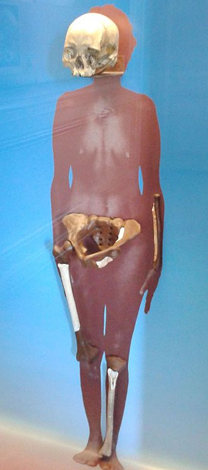 12000��ʷ�Ĺ����໯ʯ��¶���ǡ��ڰ������Ҳ���ݴ�����Ҵ�