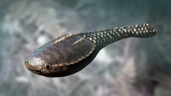 地球上第一批脊椎动物起源于浅水泻湖并在那里变得多彩多姿