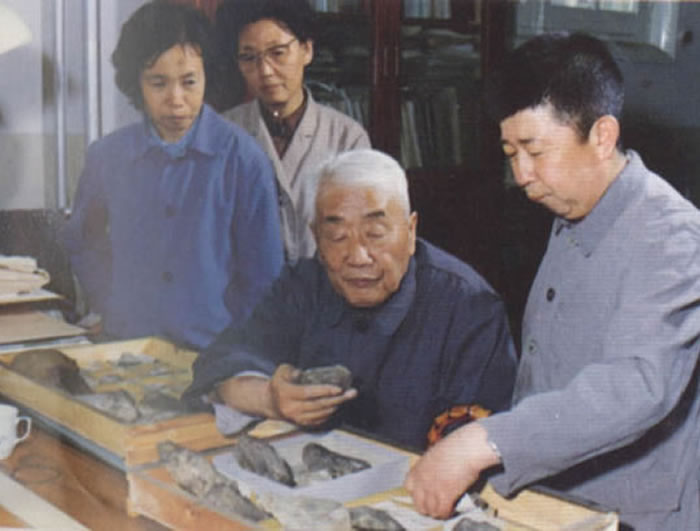 ���Ž硰һ����ʦ������������