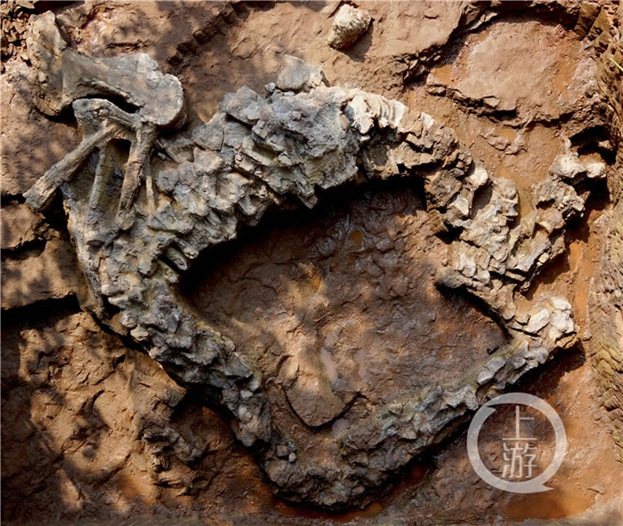 ����������������֮��������������ʯ���ӷ��ֵ��ھ򣬷����ػ�14��