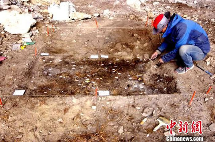 ͼΪ���Ͽ��ŶӶ�÷�������Ŵ���п��ŷ�����������������ֹ�ͼ