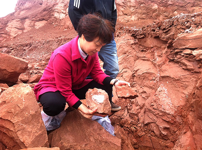 �������������ķɽ�ɼ���ʯ