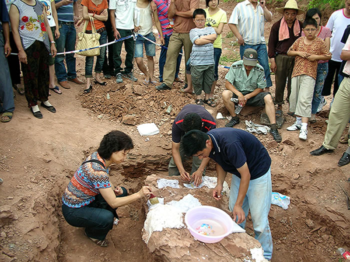 ����Ӣ����һ���ں�����ׯ��Ҷɽ�Կ�����ʯ��ֽ����