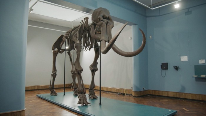 ����ʱMaterialise��˾����3D��ӡ����Ϊ����ݴ����������Ǽ�