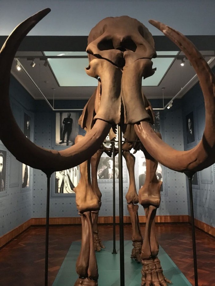 ����ʱMaterialise��˾����3D��ӡ����Ϊ����ݴ����������Ǽ�