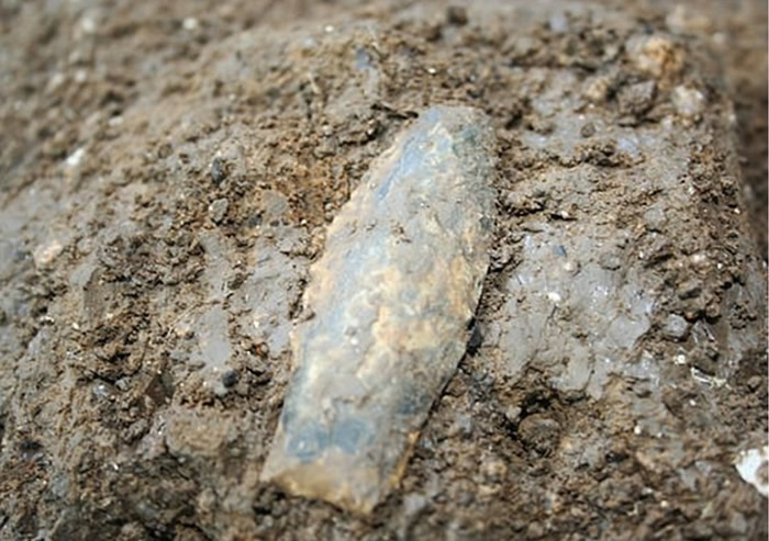 ���������ڳ������ìͷ ���д������������ʷ