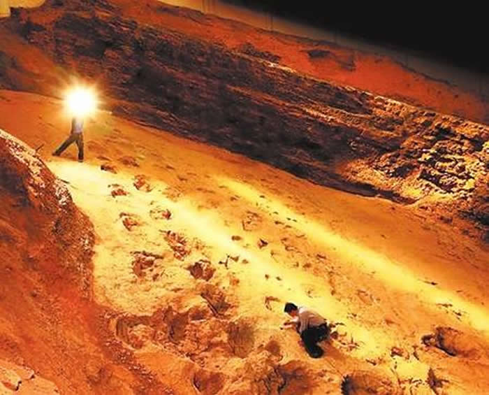 �����ι�Ͽ������������㼣һ�ŵ�