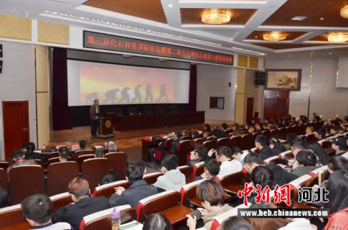 �����컯ʯ���չ�����̳�ںӱ�ʡʯ��ׯ�ٰ�