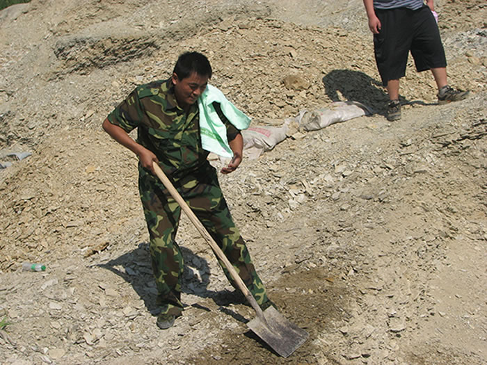 �������ڻ�ʯ���������ֳ�