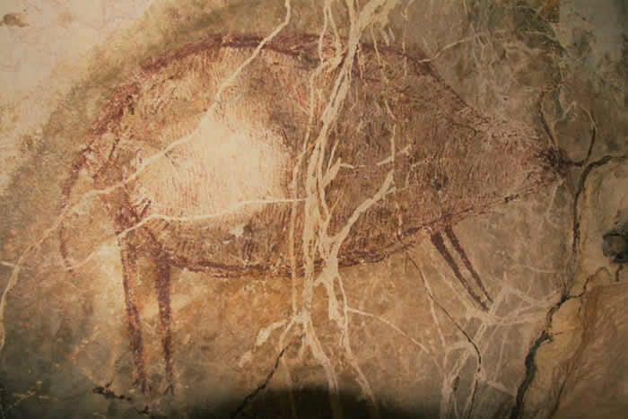 印度尼西亚加里曼丹发现4万年前岩画 目前所知最古老具象艺术品