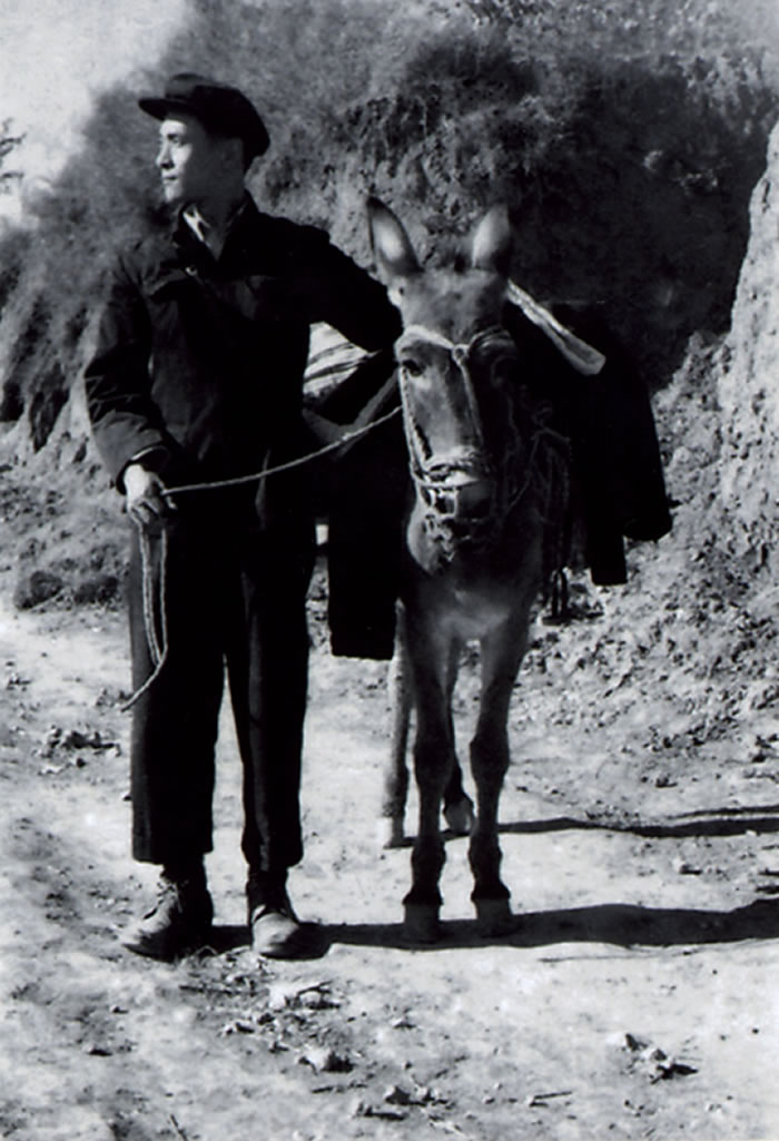 �������ڿ���·��