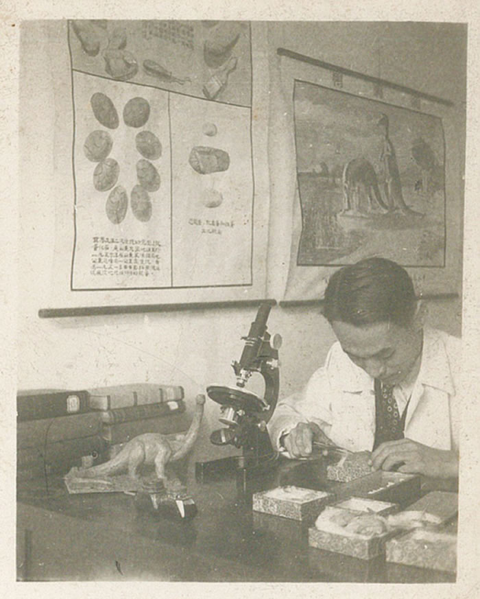 �����������ڹ۲�걾