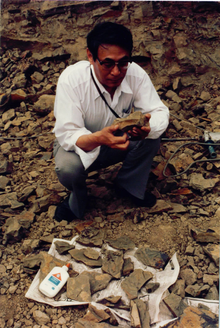 ��������Ұ�⿼��