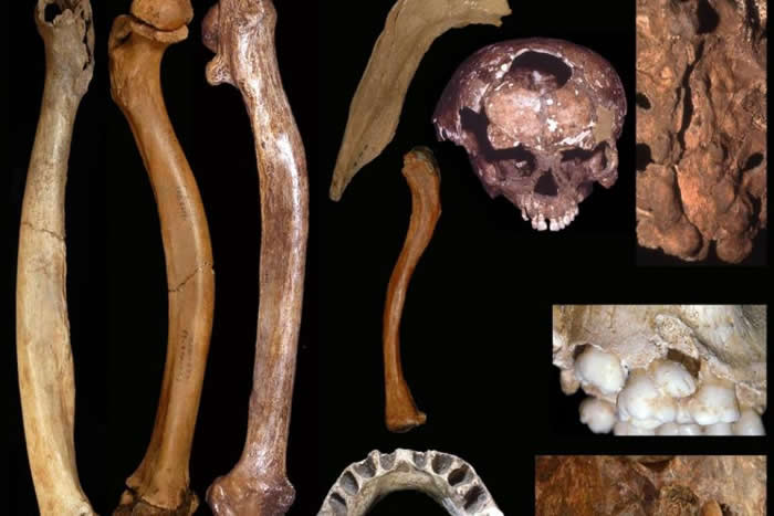 ���׷�ֳ�������������ձ����